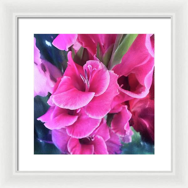 Dark Pink Gladiolas - Framed Print