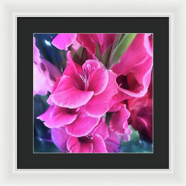 Dark Pink Gladiolas - Framed Print