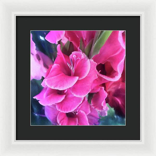 Dark Pink Gladiolas - Framed Print