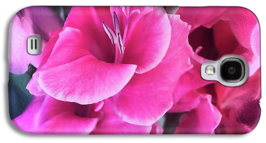 Dark Pink Gladiolas - Phone Case