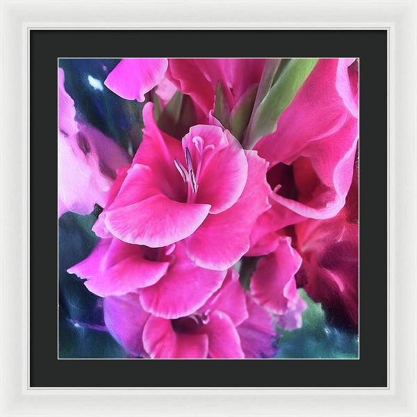 Dark Pink Gladiolas - Framed Print
