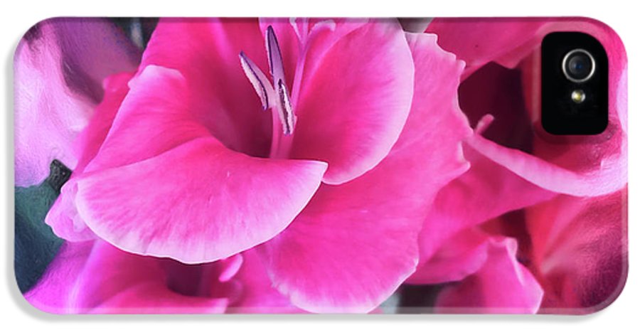 Dark Pink Gladiolas - Phone Case