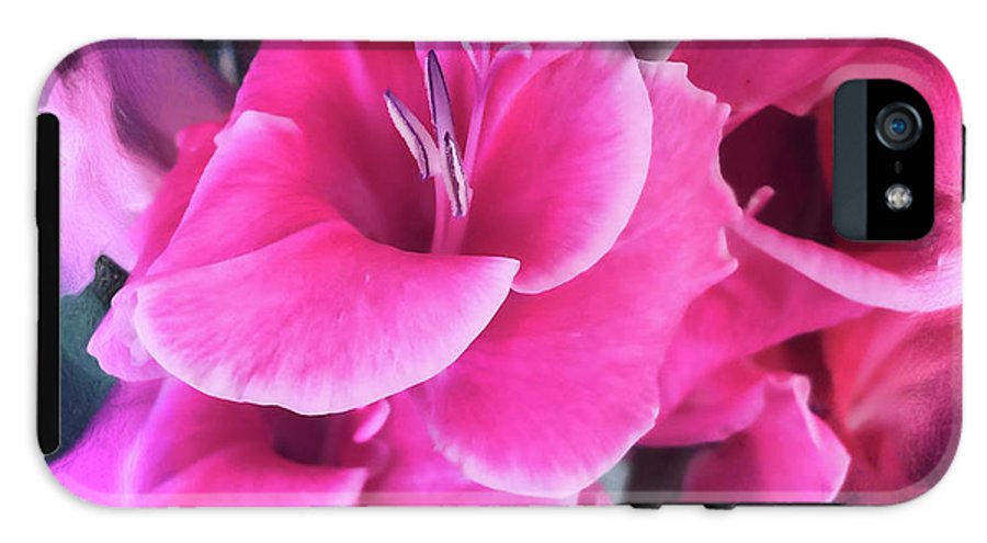 Dark Pink Gladiolas - Phone Case