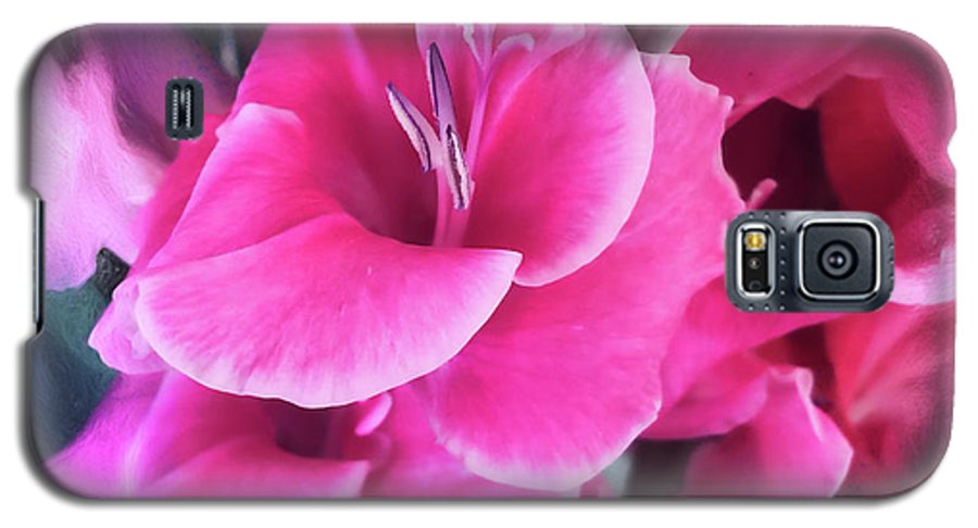 Dark Pink Gladiolas - Phone Case