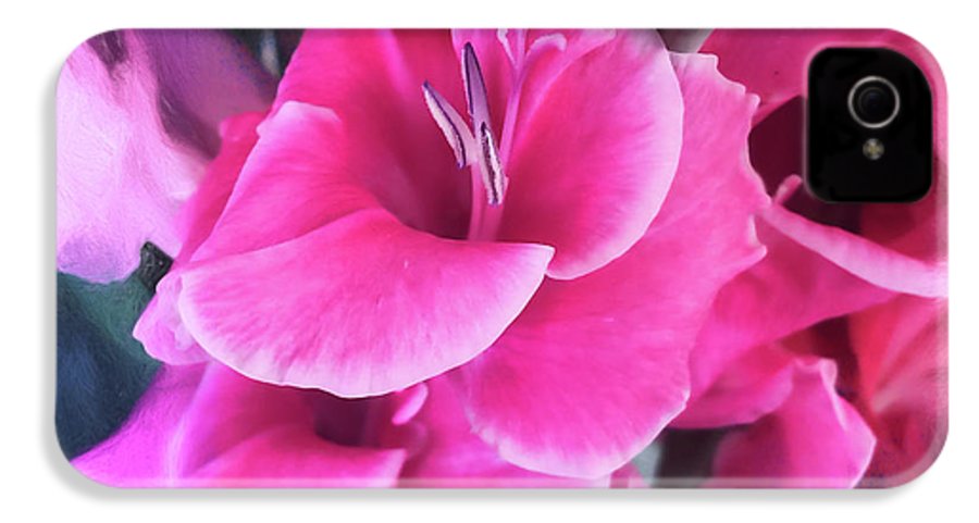 Dark Pink Gladiolas - Phone Case