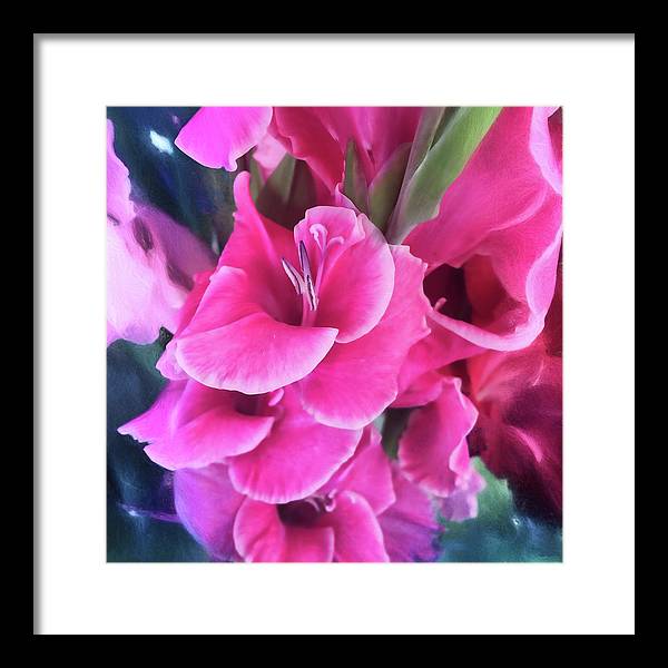 Dark Pink Gladiolas - Framed Print