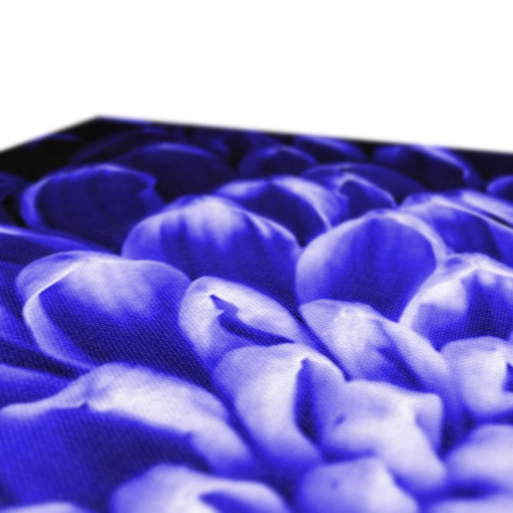 Blue Chrysanthemum Canvas