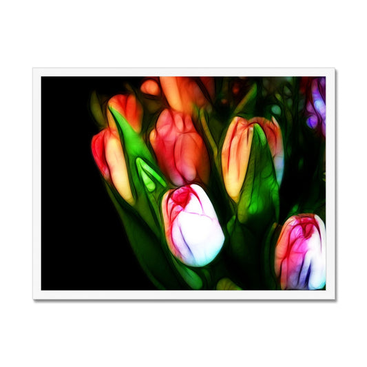 Pink Tulips Framed Print