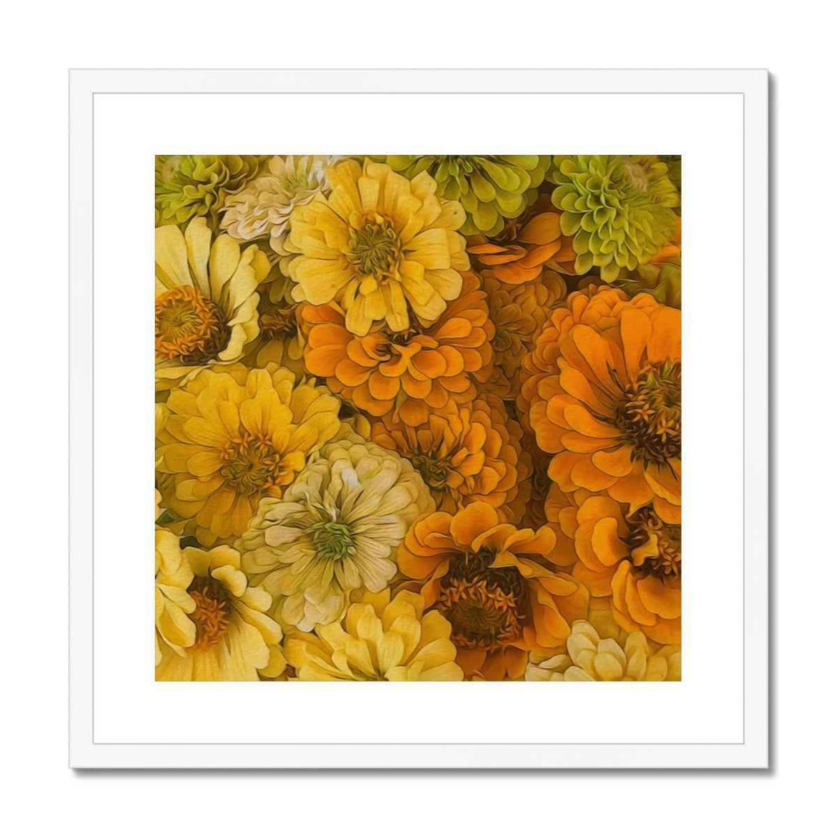 Yellow Zinnias Framed & Mounted Print