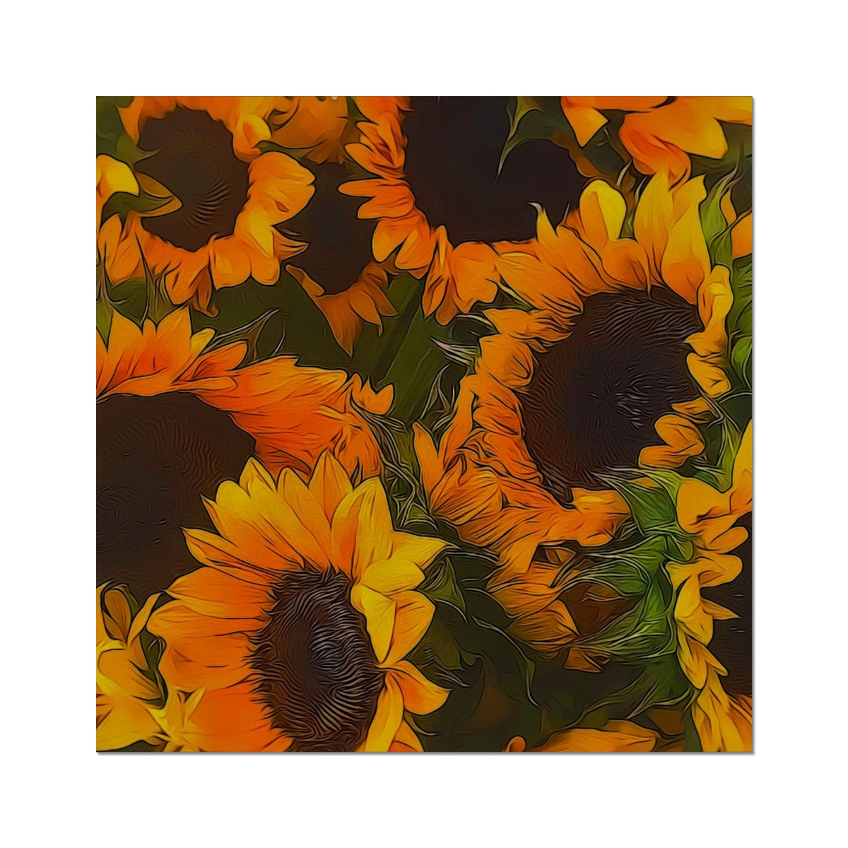 Sunflowers Hahnemühle Photo Rag Print