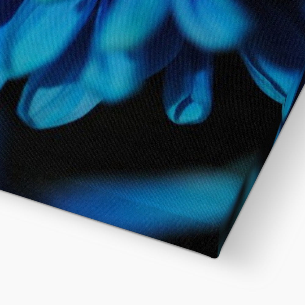 Blue Daisy Canvas