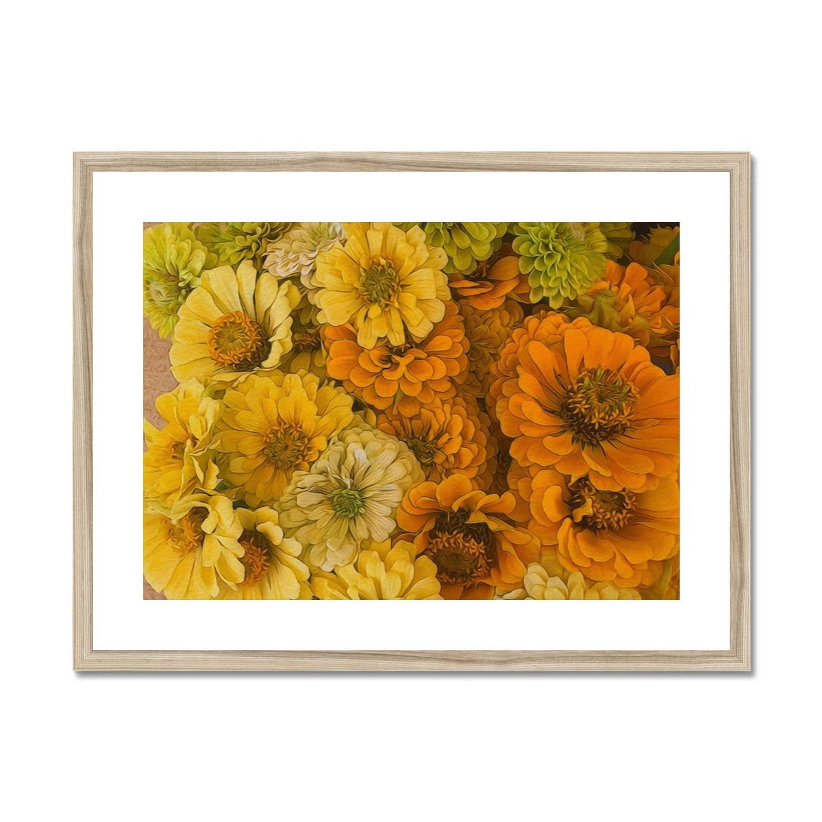 Yellow Zinnias Framed & Mounted Print