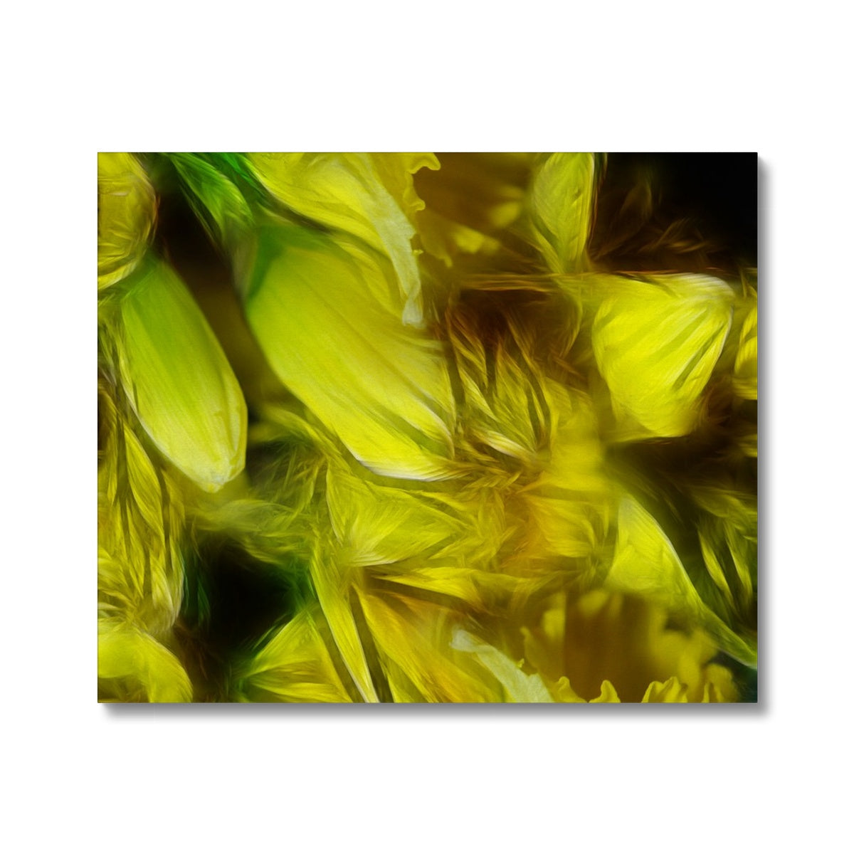 Abstract Yellow Daffodils Canvas
