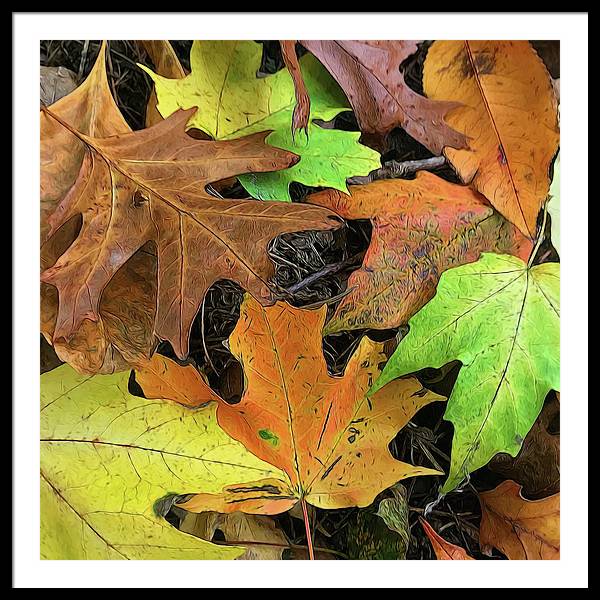 Early October Leaves 1 - Framed Print