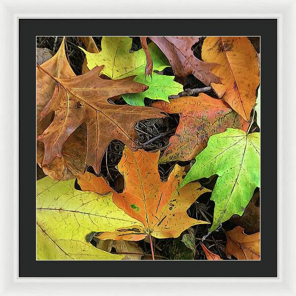 Early October Leaves 1 - Framed Print