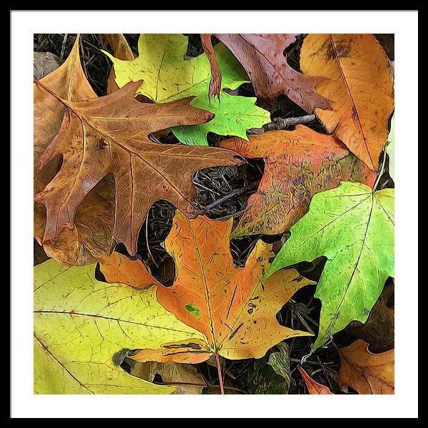 Early October Leaves 1 - Framed Print