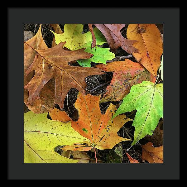 Early October Leaves 1 - Framed Print