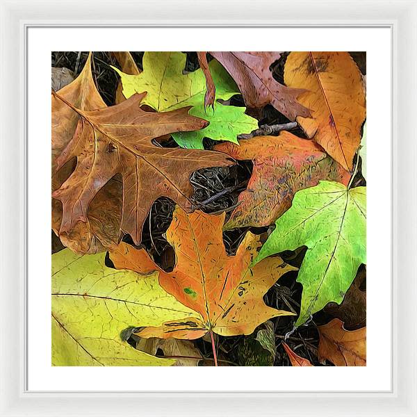 Early October Leaves 1 - Framed Print