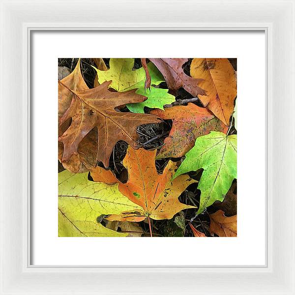 Early October Leaves 1 - Framed Print