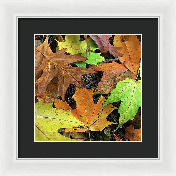Early October Leaves 1 - Framed Print
