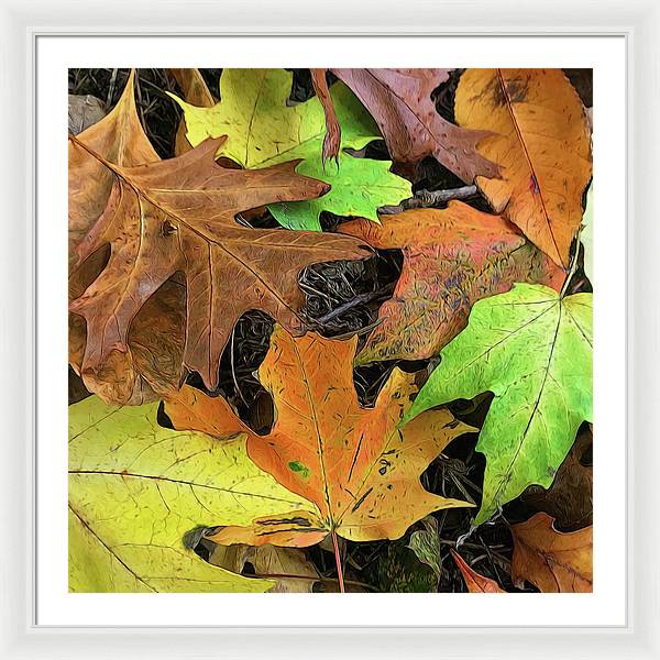 Early October Leaves 1 - Framed Print
