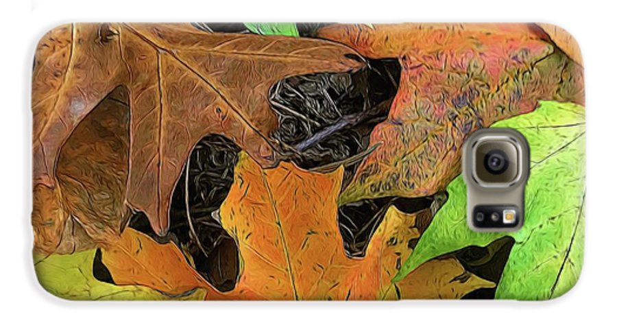 Early October Leaves 1 - Phone Case