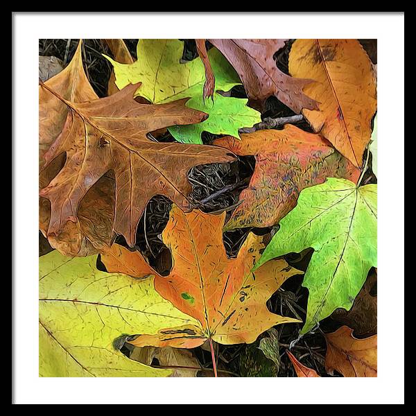 Early October Leaves 1 - Framed Print