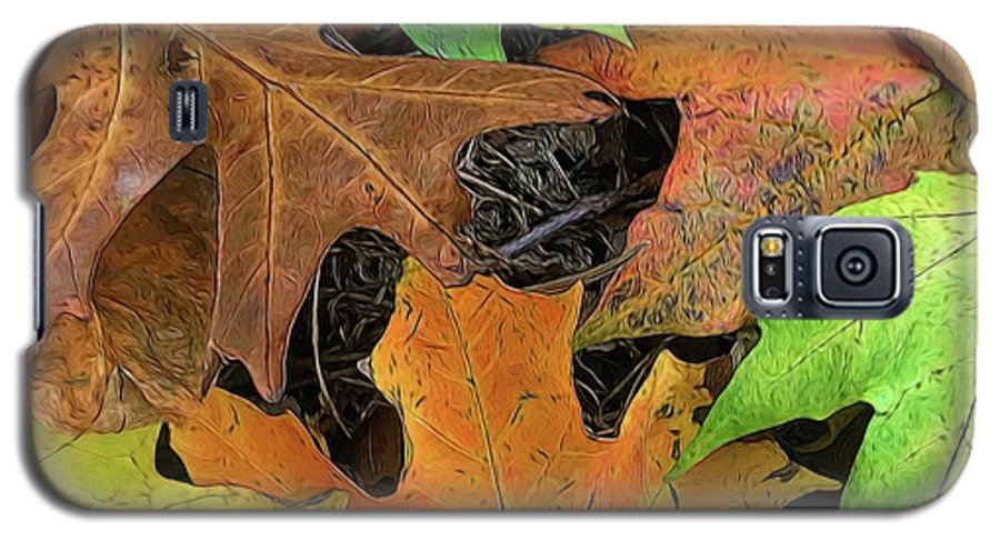 Early October Leaves 1 - Phone Case