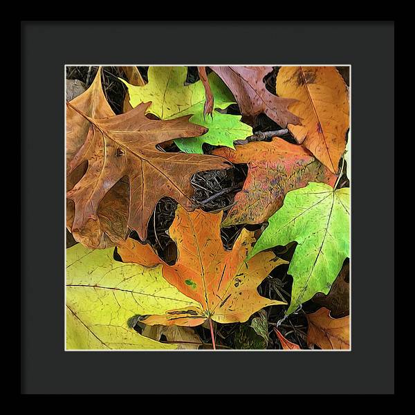 Early October Leaves 1 - Framed Print
