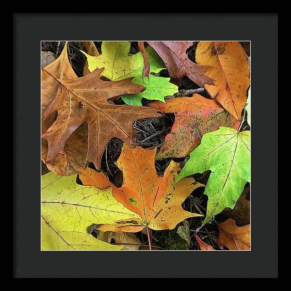 Early October Leaves 1 - Framed Print