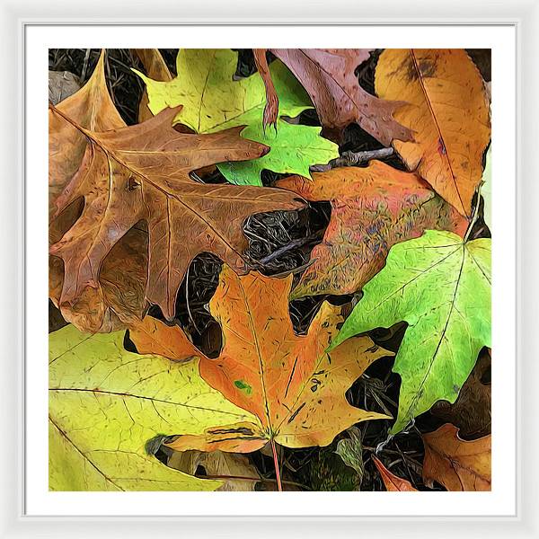 Early October Leaves 1 - Framed Print