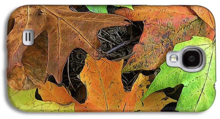 Early October Leaves 1 - Phone Case