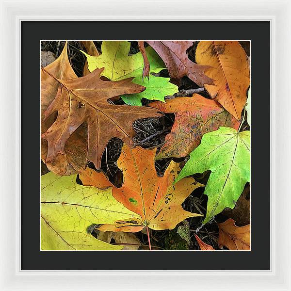 Early October Leaves 1 - Framed Print