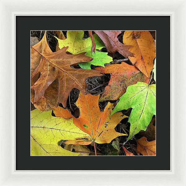 Early October Leaves 1 - Framed Print