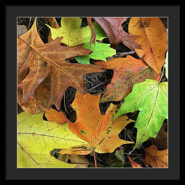 Early October Leaves 1 - Framed Print