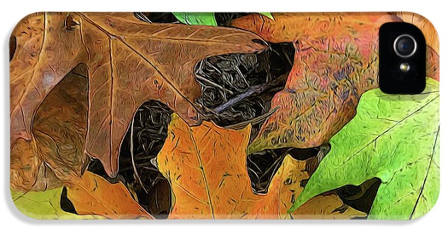 Early October Leaves 1 - Phone Case