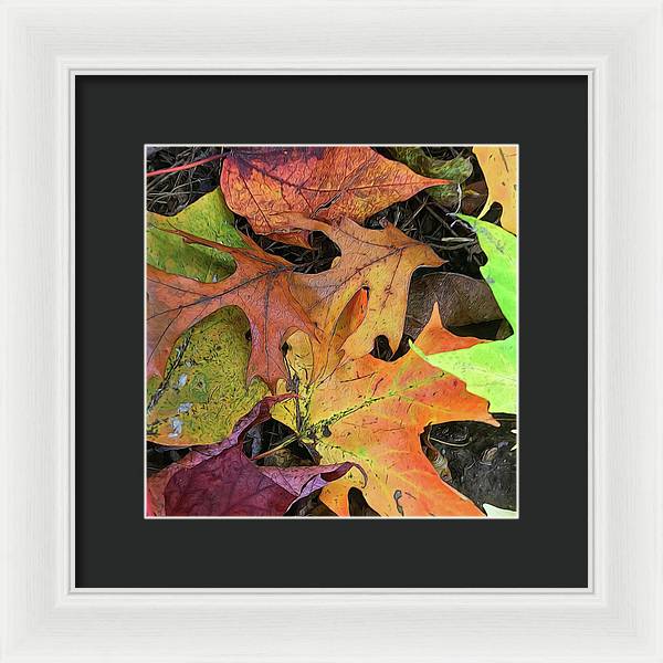 Early October Leaves 2 - Framed Print