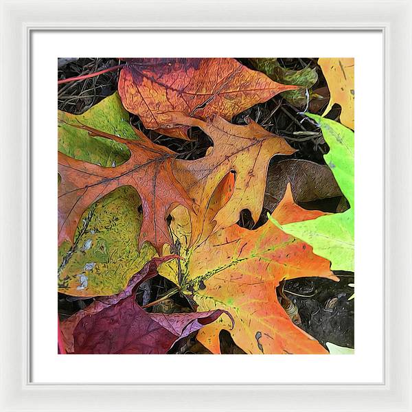 Early October Leaves 2 - Framed Print
