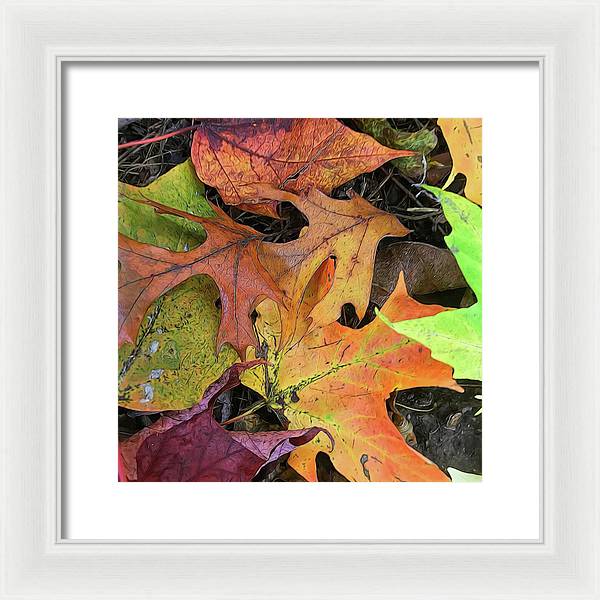 Early October Leaves 2 - Framed Print
