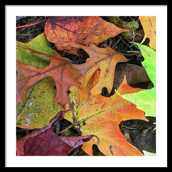 Early October Leaves 2 - Framed Print