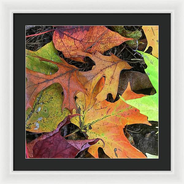 Early October Leaves 2 - Framed Print
