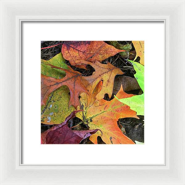 Early October Leaves 2 - Framed Print