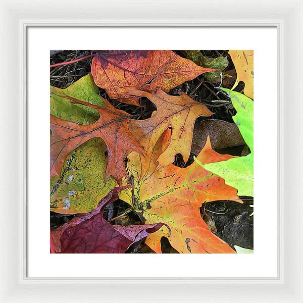 Early October Leaves 2 - Framed Print