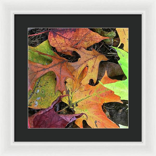 Early October Leaves 2 - Framed Print