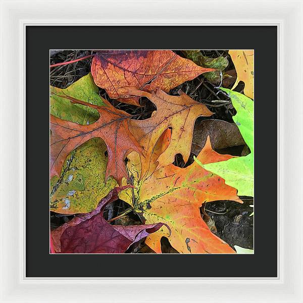 Early October Leaves 2 - Framed Print