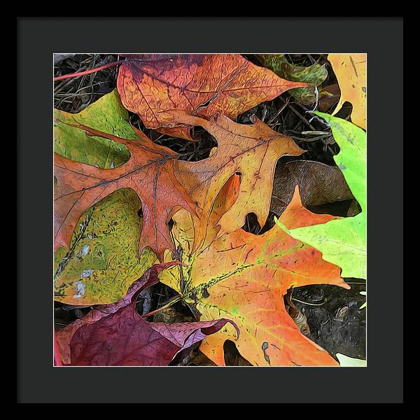 Early October Leaves 2 - Framed Print