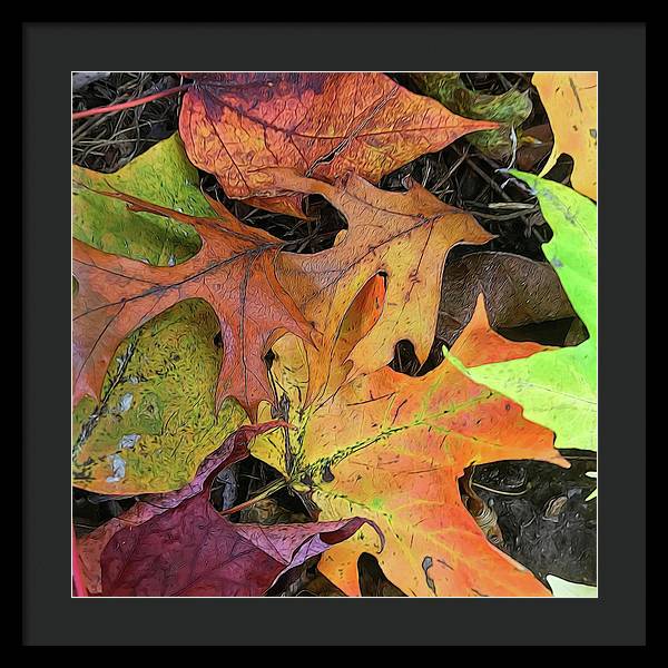 Early October Leaves 2 - Framed Print