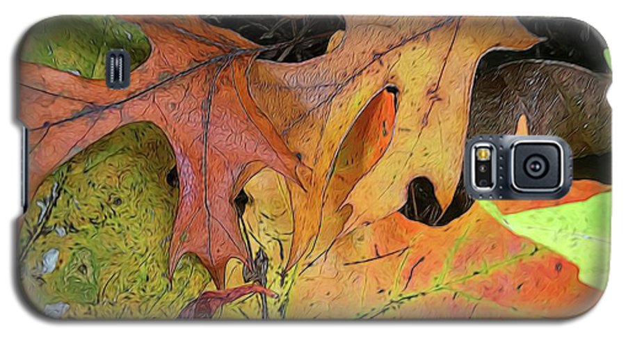 Early October Leaves 2 - Phone Case
