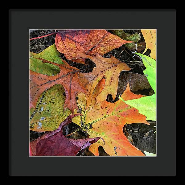 Early October Leaves 2 - Framed Print