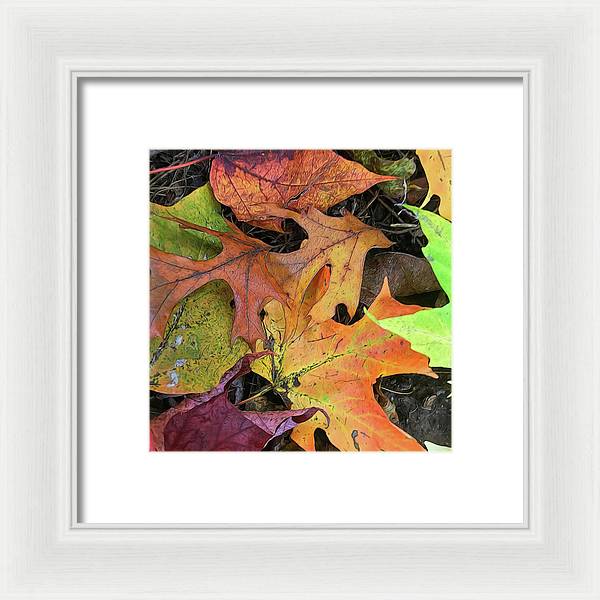 Early October Leaves 2 - Framed Print